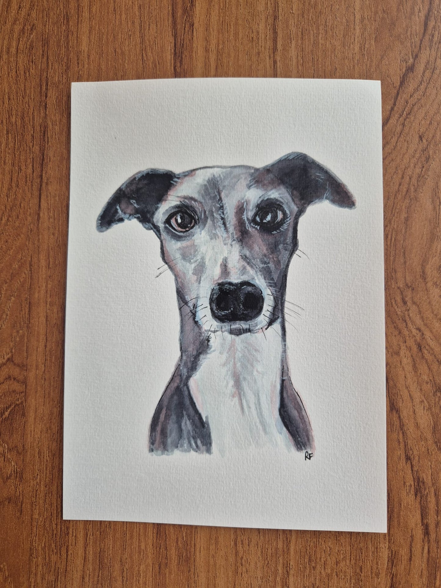 Custom Pet Portait with Watercolours
