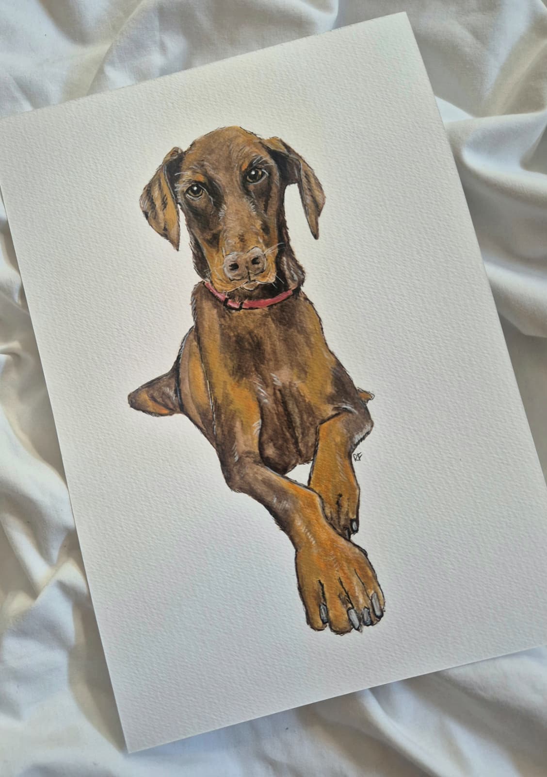 Custom Pet Portait with Watercolours