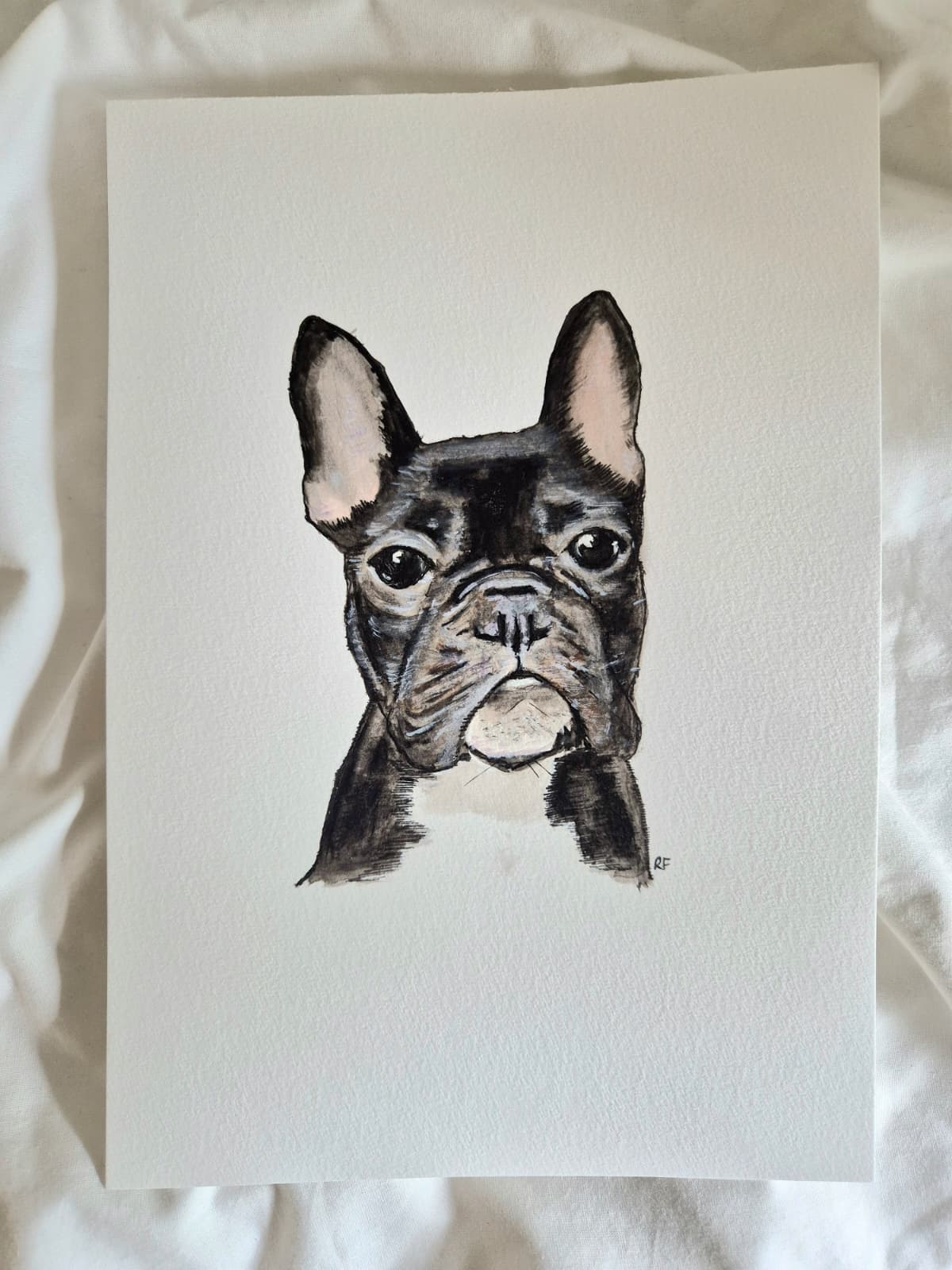 Custom Pet Portait with Watercolours