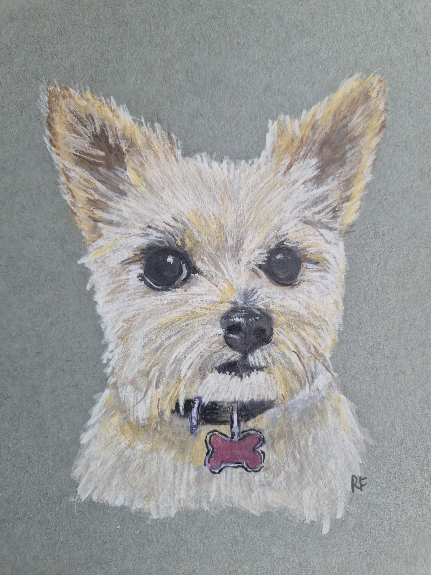 Custom Pet Portait with Watercolours & Pastel Pencils