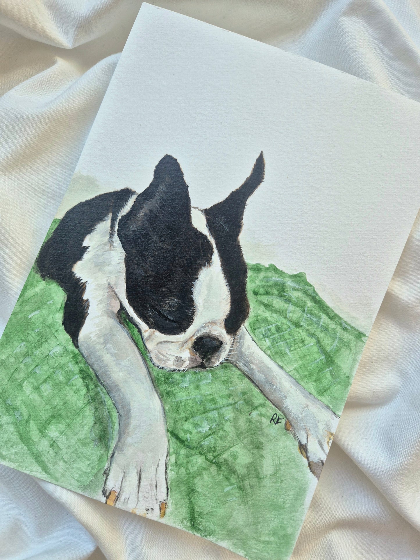Custom Pet Portait with Watercolours